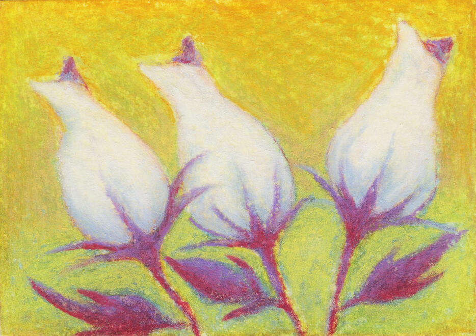 Floral Study 2 (2026) | 2.5 x 3.5 inches | Soft Pastels on Watercolor Paper [SOLD]